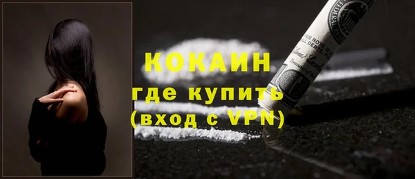прущие грибы Богданович