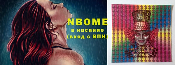 прущие грибы Богданович