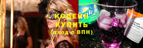 прущие грибы Богданович