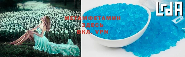 прущие грибы Богданович