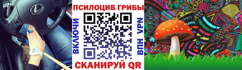 Галлюциногенные грибы ЛСД  Динская 